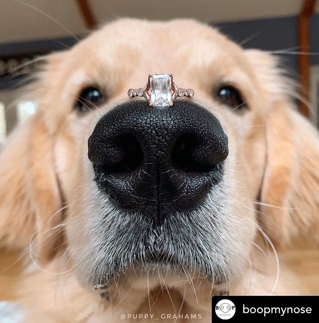 KoalaAppSite's tweet photo. The dream 😍🤩 
•
•

#loving #love #caring #cute #life #happy #happiness #instagram #beautiful #loveyourself #loveyou #lovequotes #like #follow #instagood #loveislove #photography #quotes #family #yourself #you #couple #living #beauty #heart #fun #couplegoals #smile #kiss https://t.co/c5tuMl4JhZ