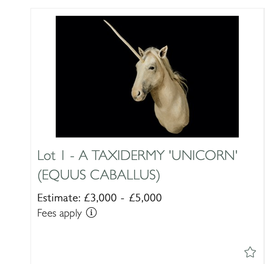 It is my profound pleasure to bring to your attention that  @ChiswickAuct has an auction 11 am tomorrow called “From the Curious to the Extraordinary”. It opens on Lot 1, A STUFFED UNICORN, and just gets better from there: (1/9)