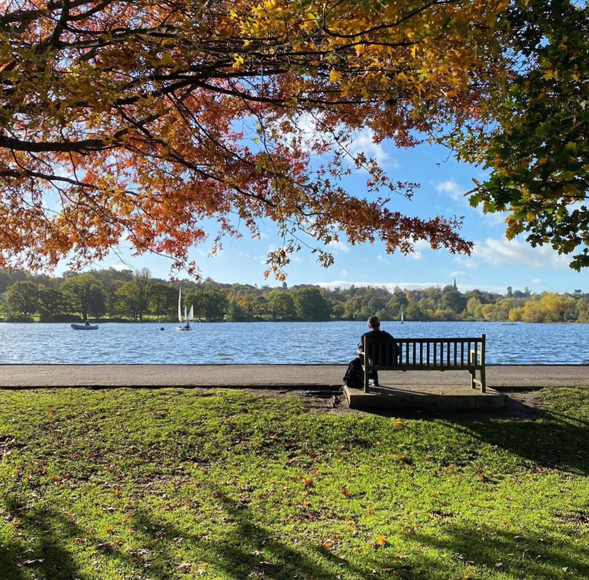 MyWimbledonApp's tweet photo. Gorgeous autumn leaves and sunshine captured in Wimbledon Park. A lovely spot to sit and watch the world go by. 🍂 ✨

📷: https://t.co/RlshPhzmRN

#Wimbledon #LoveLocal https://t.co/149XAbRJQa