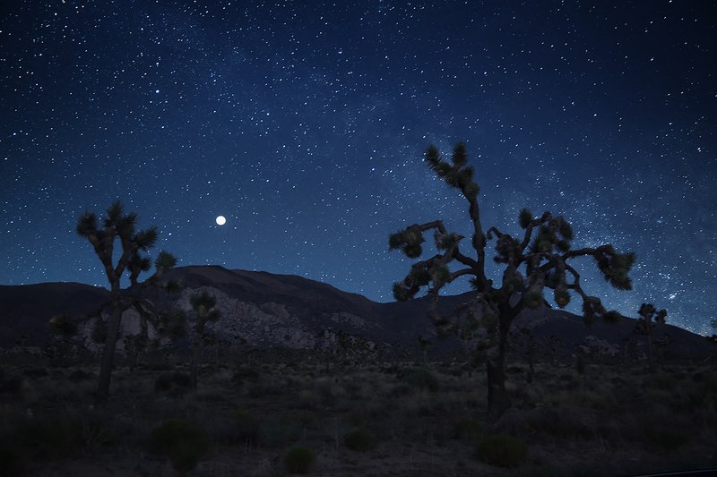 phaidonpress's tweet photo. In the week NASA found water on the moon see moon-related artworks by #thomasbroadbent #hernanbas #betinasamaia #susanhiller and others @artspace https://t.co/o75cKu1IFv https://t.co/lrymIW9Dtn