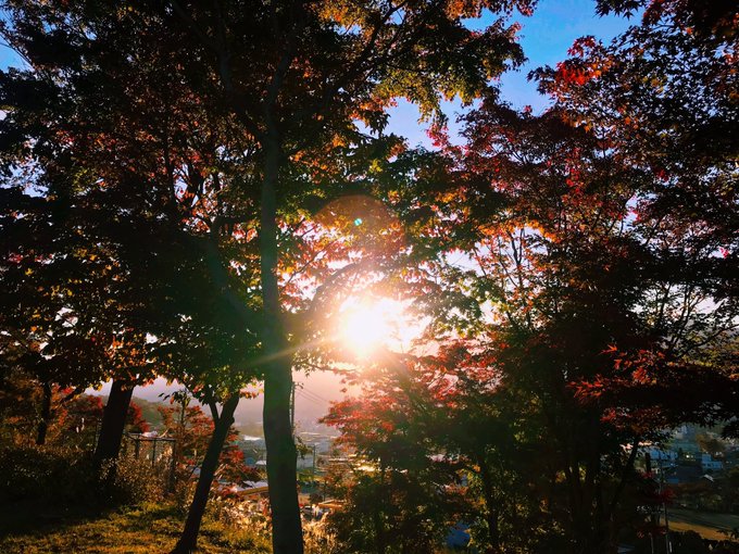 そういえば伊那市あたりは紅葉でした
真っ盛り秋です 