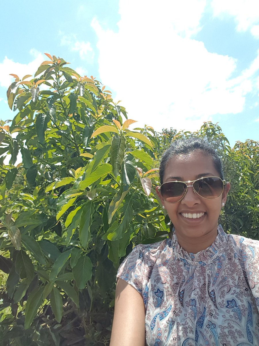 Jayeni Hiti-Bandaralage 🥑 tweet media