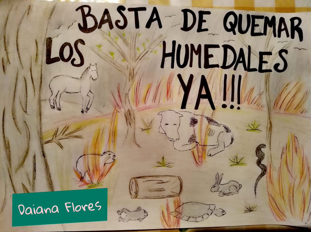 AMAPRosario's tweet photo. 🔥🌱🌿Desde AMAP también gritamos #bastadequemas
Exigimos respuestas ante los incendios en las islas. Los chicos del Club de Jóvenes expresan con sus dibujos el pedido de una respuesta clara y rápida a este desastre que destruye los ecosistemas regionales. 
#humedales #ecocidio https://t.co/XTexx8sj5Z