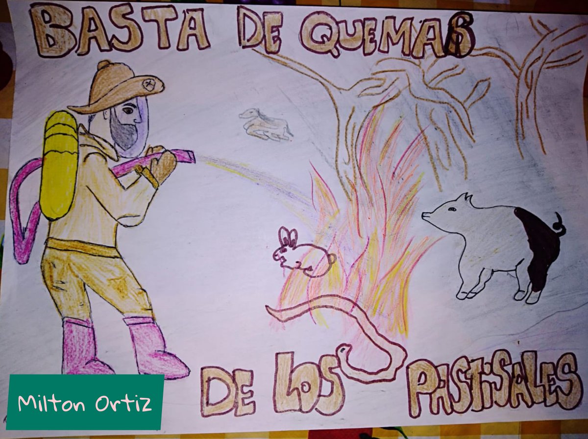 AMAPRosario's tweet photo. 🔥🌱🌿Desde AMAP también gritamos #bastadequemas
Exigimos respuestas ante los incendios en las islas. Los chicos del Club de Jóvenes expresan con sus dibujos el pedido de una respuesta clara y rápida a este desastre que destruye los ecosistemas regionales. 
#humedales #ecocidio https://t.co/XTexx8sj5Z