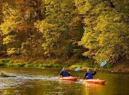 VisitIndiana's tweet photo. Pack your sneakers and a jacket and head outdoors for fall family fun in @VisitHamiltonCo! A balloon ride, u-picks, and more? Count us in! ππ
Read more about the road trip: https://t.co/KsY1ZfLSvl
@ConnerPrairie #visitindiana #indiana #fall #INFallRoadTrips https://t.co/chrFbLxzMg
