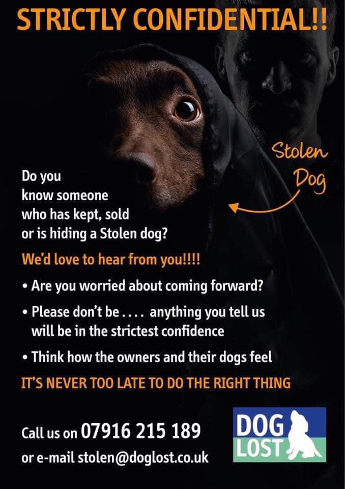 molliepug2's tweet photo. 🆘💕🆘 #ROSI #STOLEN 22/10/2020 #Nasareth #Penygroes nr #Caernarfon #Gwynedd #NorthWales Anyone recognise these two?
COPIED from #crimewatch #dogsonthestreets #WALES
Urgent share this all over please this little girl needs to be home they took her and left 2 other dogs https://t.co/nEYFWhaW4Z