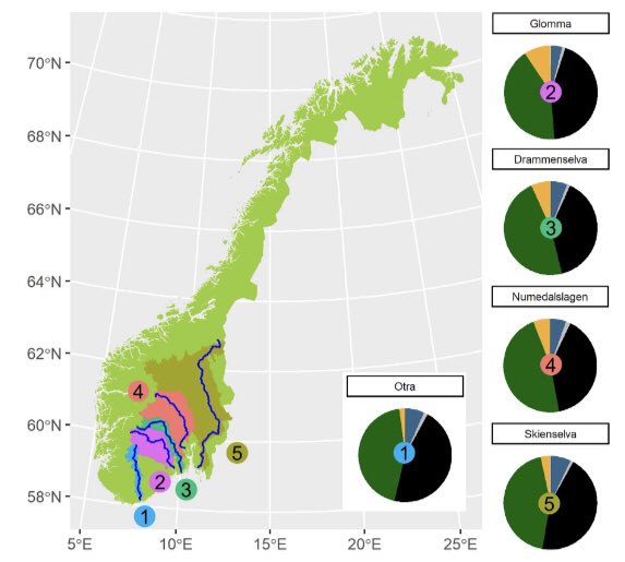 deiningA's tweet photo. Wondering how declining #NitrogenDeposition and declining #SulphurDeposition in #Europe interact to cause a systematic shift in water quality in 🇳🇴?🌊

Check out our new free article 
👉https://t.co/aT82LgiAQH @SciReports 

Science by
@NIVAforskning @coastresnor @AgderUniversity https://t.co/saN3b0Z42X