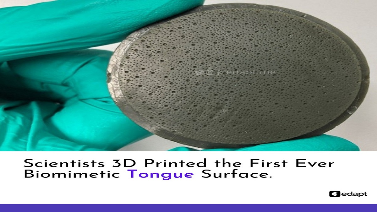 edapthere's tweet photo. Scientists 3D printed the first ever biomimetic tonge surface.

#3Dprinting #3D #3Dprinted  #3dprinter #biomimetic #3Dprintedtongue #Edapt #Edaptme #EdaptSchool #EdaptElearningapp https://t.co/uXq7IDOCI0