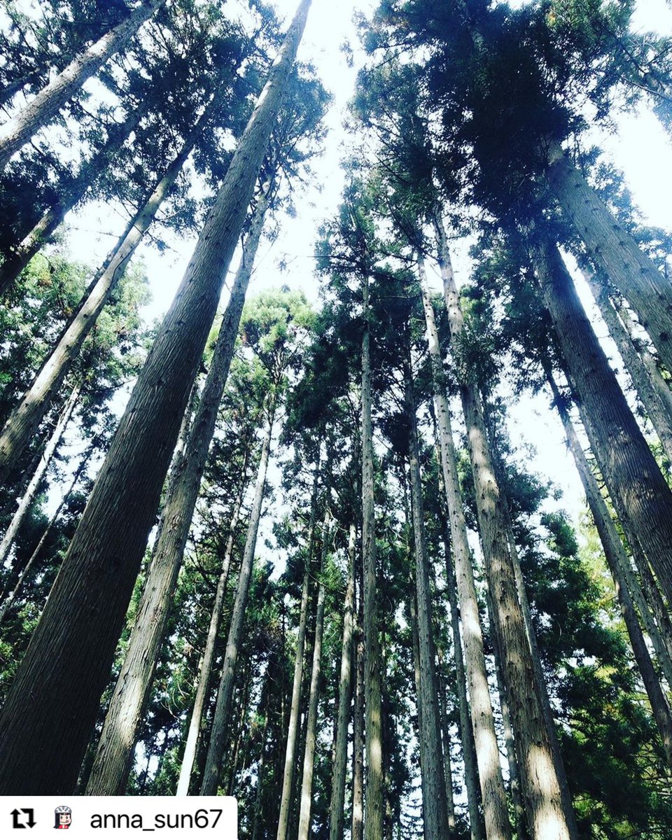 LIFEFARMINGCAMP's tweet photo. INSTAGRAM
#Repost  
@anna_sun67
https://t.co/Q7OfDUSaYV

#LIFEFARMINGCAMP
in NOZAWA-ONSEN

詳細はプロフィールのリンクから🌳
@LIFEFARMINGCAMP https://t.co/7Tb2KerPiD