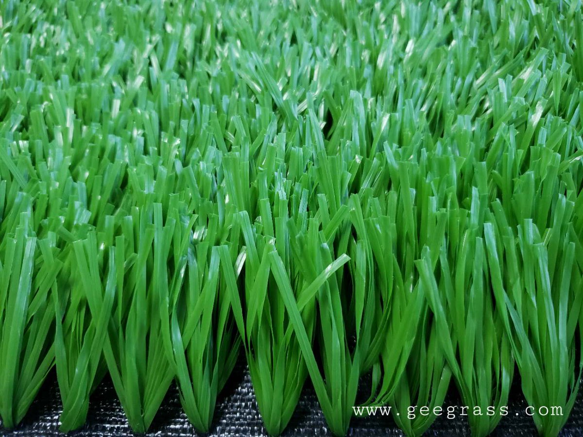 Winson_Gee's tweet photo. Gee football grass with wide fiber https://t.co/6HnbLQvlfQ