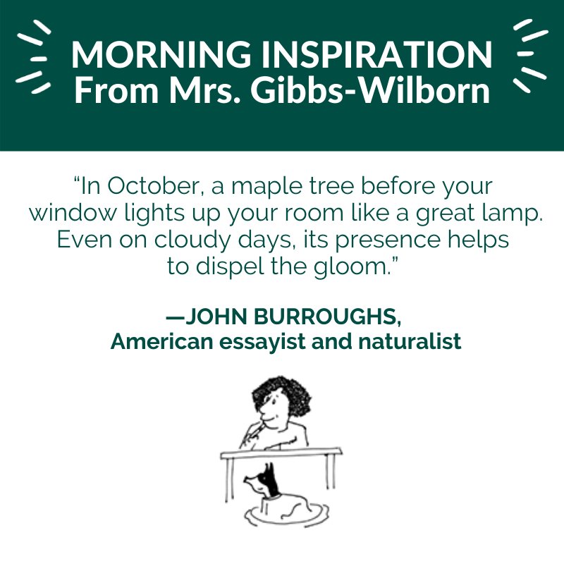 BeauvoirDC's tweet image. 