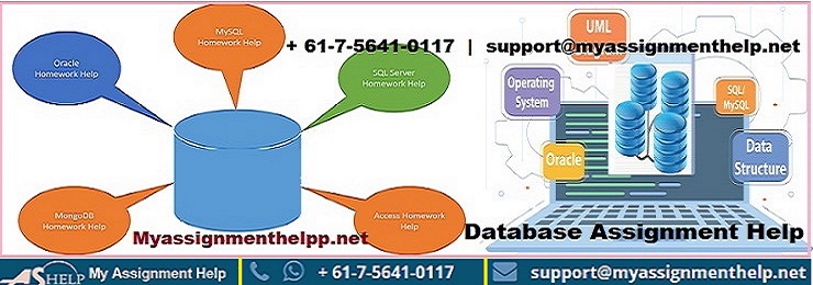 assignment help tweet media
