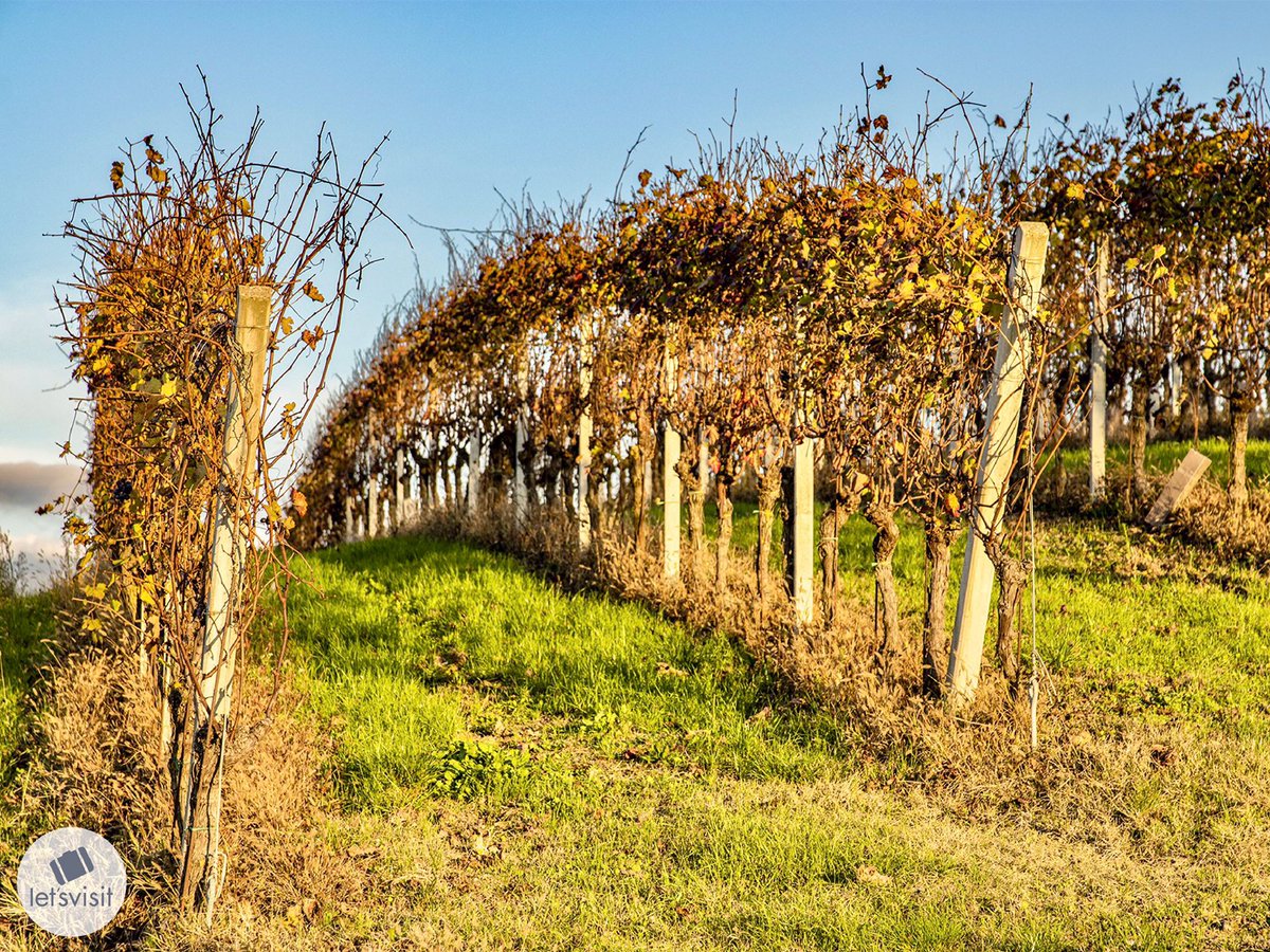 Let's Visit Piemonte tweet media