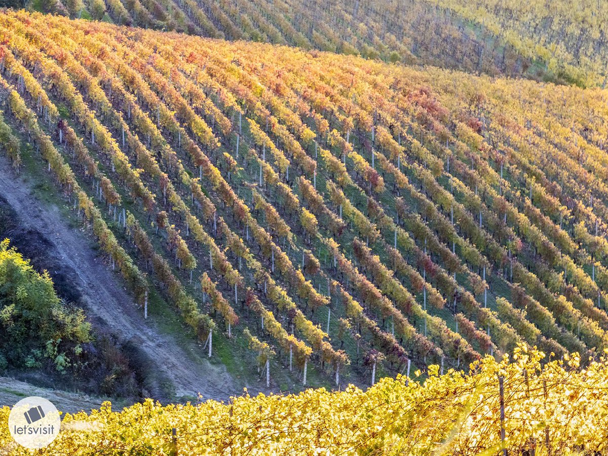 Let's Visit Piemonte tweet media