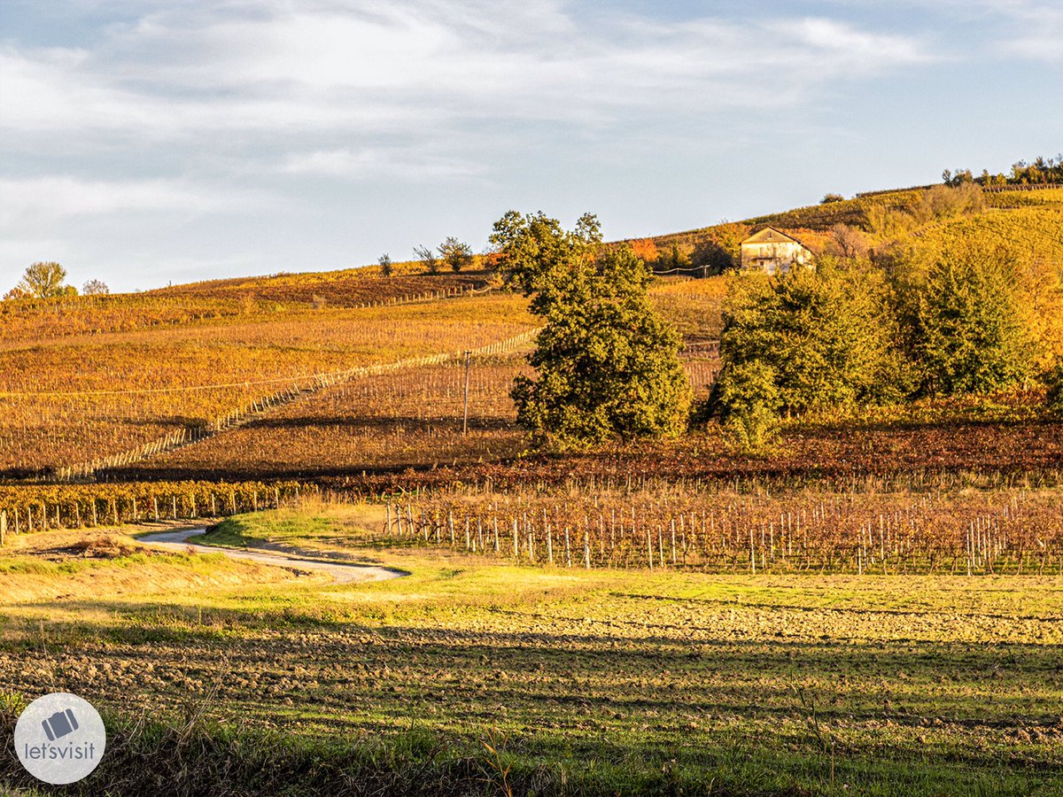 Let's Visit Piemonte tweet media