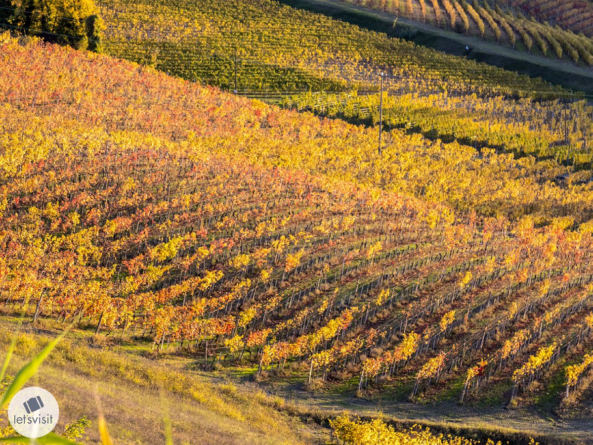 Let's Visit Piemonte tweet media