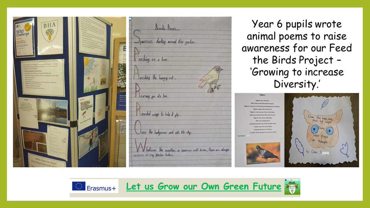 2/9 ‘Let Us Grow Our Own Green Future’  https://2gardens4learning.eu :