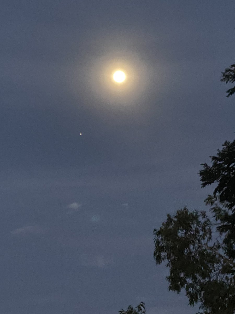 Greg Quicke tweet media