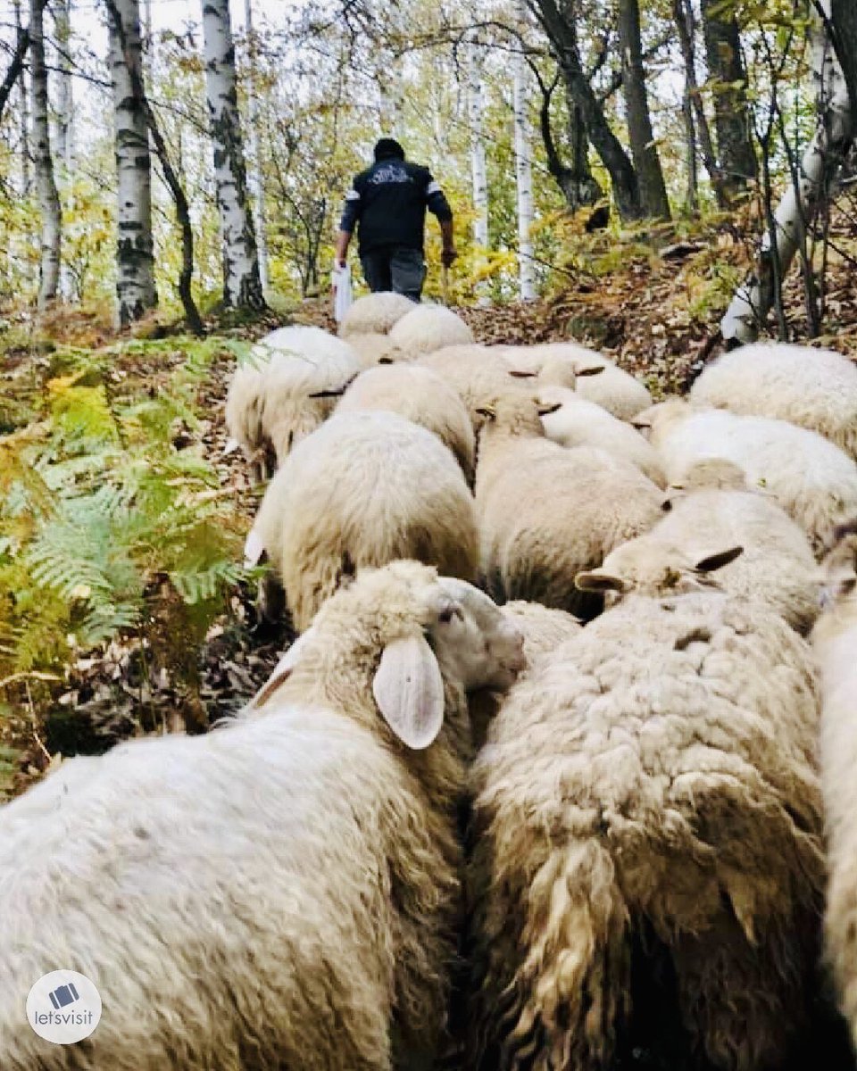 Let’s Visit Maritime & Monviso Alps tweet media