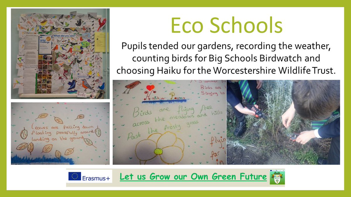 3/9‘Let Us Grow Our Own Green Future’  https://2gardens4learning.eu :