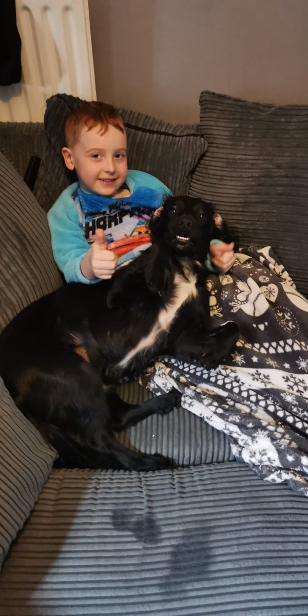 SuzyBailey3's tweet photo. @ChristChurch_CE I'm currently watching movies and having lots of cuddles with my dog Buddy. 

Luca Catalano, Year 1 https://t.co/Vh0SVLKASP