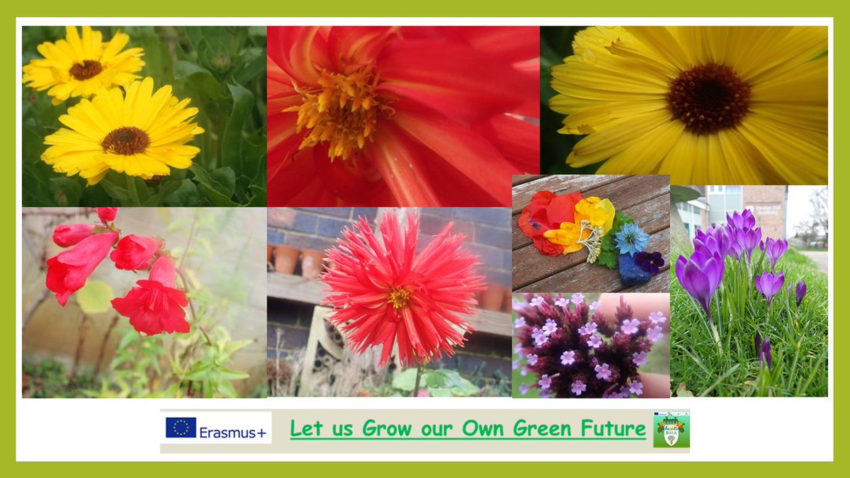 6/9‘Let Us Grow Our Own Green Future’  https://2gardens4learning.eu :