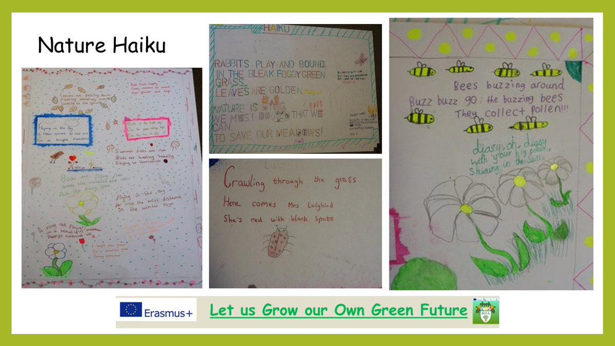 8/9‘Let Us Grow Our Own Green Future’  https://2gardens4learning.eu :