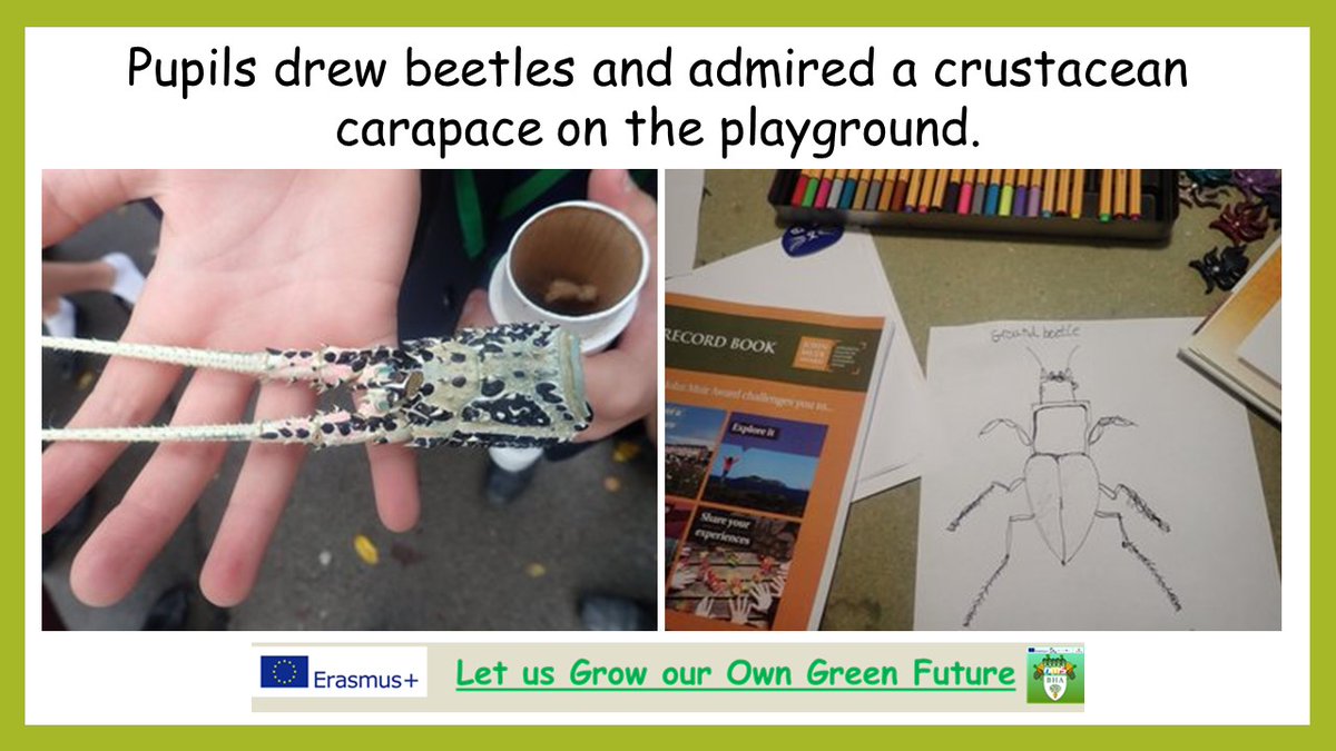 8/9‘Let Us Grow Our Own Green Future’  https://2gardens4learning.eu :