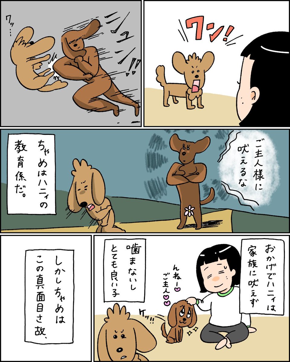 こっちが気遣うくらい反省する犬 