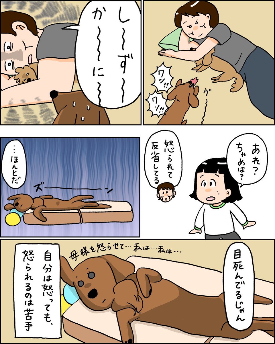 こっちが気遣うくらい反省する犬 