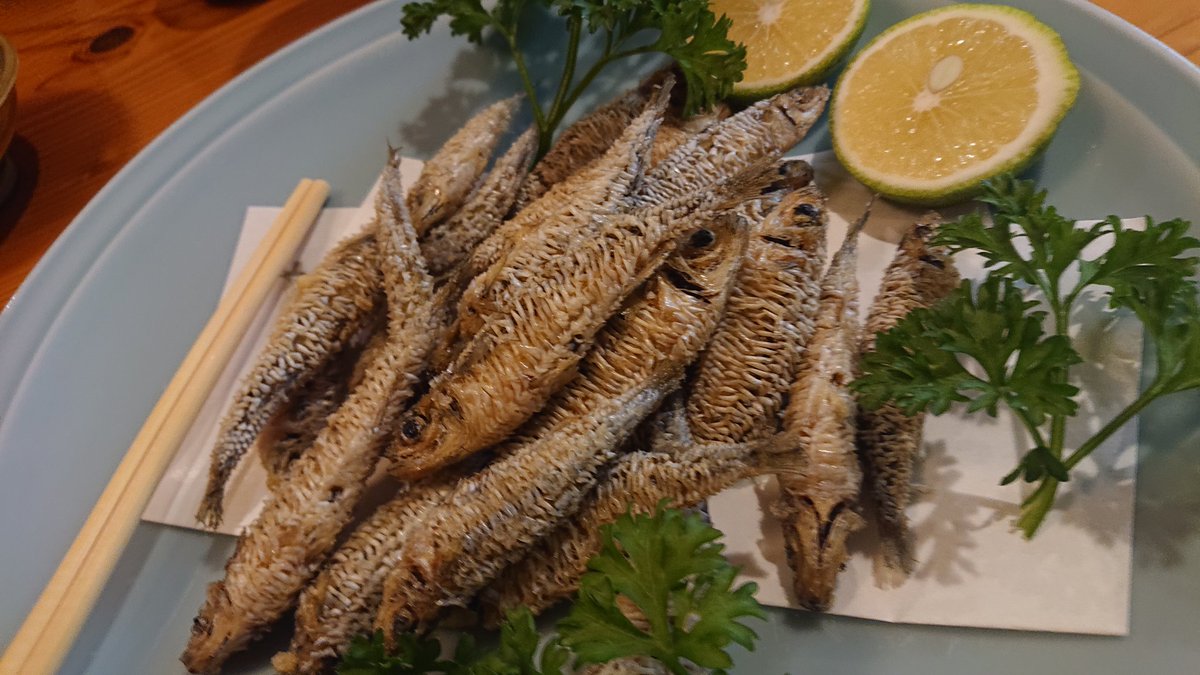 みんなの「高知家 寿司」 口コミ・評判｜食べたいランチ・夜ごはんが 