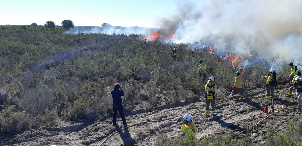 CILIFO_UE's tweet photo. 📌La investigación y @Plan_INFOCA, de la mano en la gestión ambiental del monte mediterráneo dentro de un espacio tan emblemático como #Doñana, en #Almonte (#Huelva). La directora conservadora del E.N. de #Doñana ha estado presente durante esta jornada de quema prescrita. https://t.co/oex9fB69a1