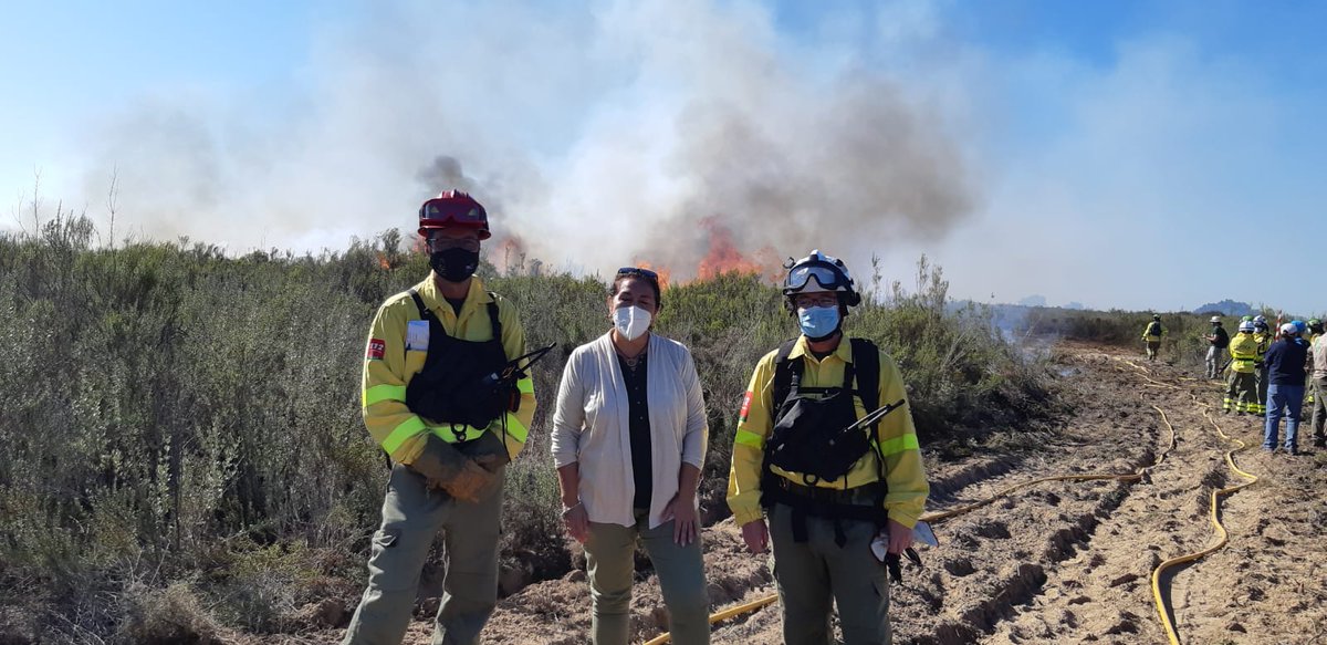 CILIFO_UE's tweet photo. 📌La investigación y @Plan_INFOCA, de la mano en la gestión ambiental del monte mediterráneo dentro de un espacio tan emblemático como #Doñana, en #Almonte (#Huelva). La directora conservadora del E.N. de #Doñana ha estado presente durante esta jornada de quema prescrita. https://t.co/oex9fB69a1