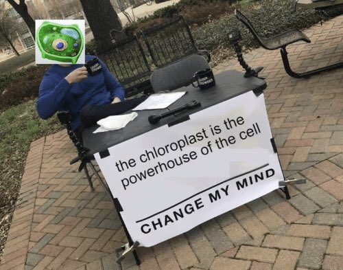 _mrchloroplast's tweet photo. “tHe miToCHondrIa iS ThE poWErhOuSe oF thE CelL!” @SICPLum @mitochondria97 https://t.co/AJfsw6N57I