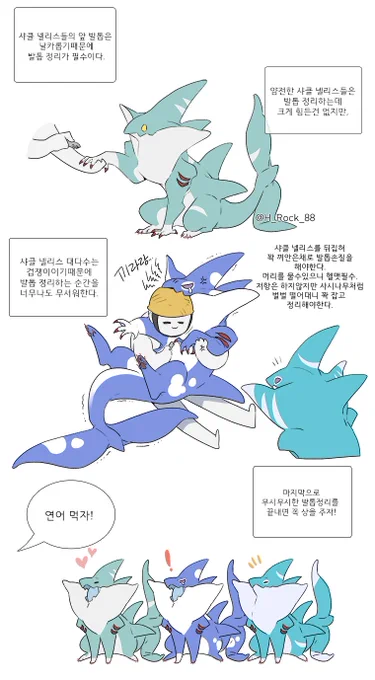 샤클 넬리스 키우기
발톱 정리 