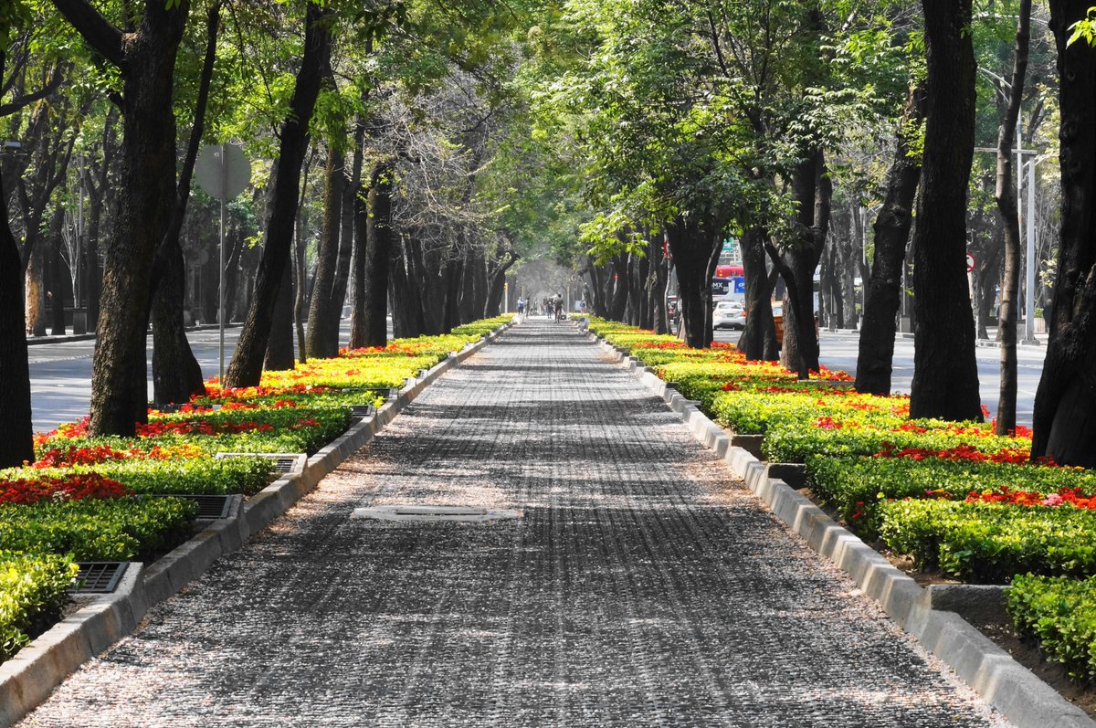 Did you Know?
#Trees could reduce temperatures in cities up to 8°C, lowering use of air conditioning and related emissions by up to 40 per cent.
#WorldCitiesDay #BetterWithForests🌲🌲 https://t.co/Gsbwqh5Kiz