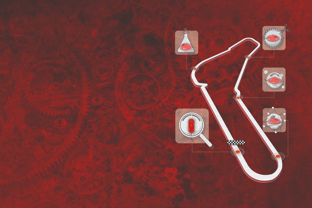 Tomorrow Oct 30th, I will publicly defend my #PhD <a href="/WUR/">Wageningen U&R</a>. It will be a remote session from <a href="/WeTheBarEvenLab/">Bar-Even Lab</a> (<a href="/MPIMP_Potsdam/">MPIMP Potsdam Golm 🌱🧪</a>)

Join at 4pm (GMT+1) at this link to know more about new-to-industry #chassis, #synbio, #metabolicengineering and #isoprenoids

weblectures.wur.nl/P2G/cataloguep…