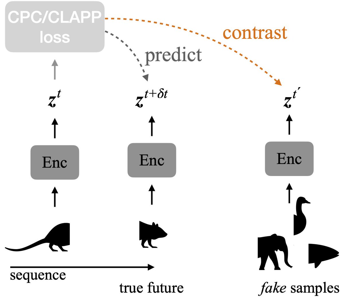 BellecGuill's tweet photo. Thrilled to share our results with B. Illing and W. Gerstner!

Contrastive predictive coding implemented by a plasticity rule (CLAPP) relying only on the activity of neighboring neurons.

A big step towards local unsupervised plasticity models building deep representations. https://t.co/Sijt53Tu6P