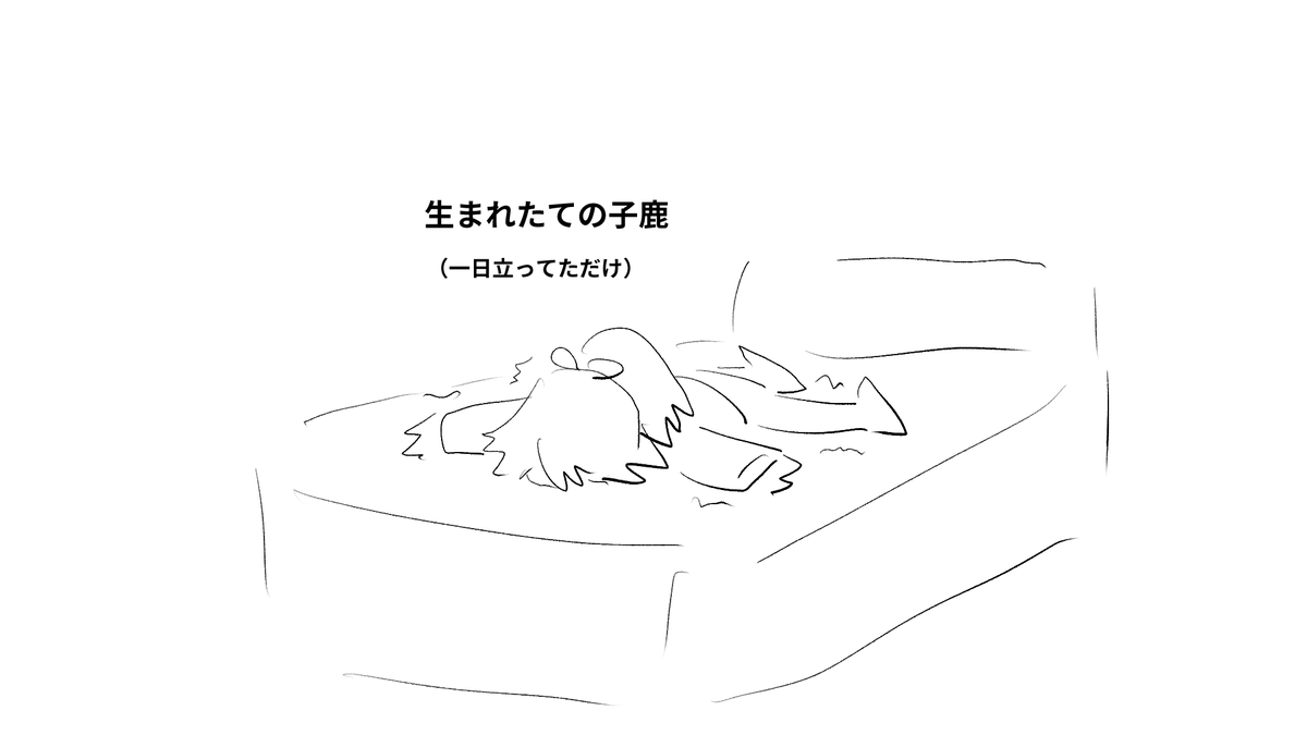 今日のお兄ちゃん日記です。 