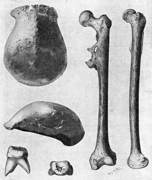 FossilHistory's tweet image. Eugene Dubois and his wife set sail for the Dutch East Indies (Nusantara) #OnThisDay in 1887, in hopes of finding the missing link. The wild thing is, he actually found it (sort of). A few years later his team the Pithecanthropus fossils from Java. #JavaMan