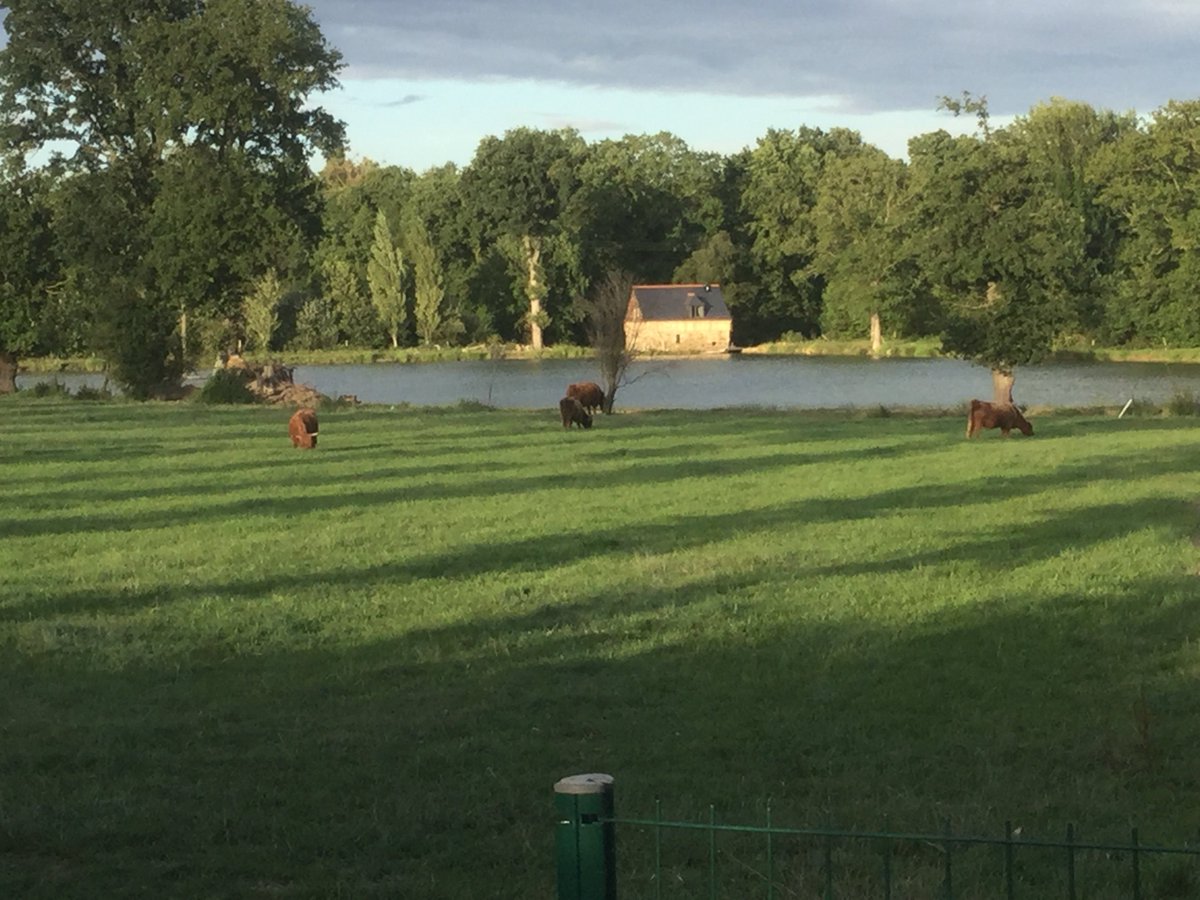 ParkandView's tweet photo. ⛺️ "Le moulin près de l’etang"⛺️
🇫🇷 Côtes-d'Armor 🇫🇷

Environement: #Campagne, #Ferme, #Plandeau, #Rivière.
Activités: #Pêche, #Randonnée, #VieSauvage
Équipements: BBQ à charbon, Eau... 

https://t.co/y3P7iZay2A

#camping #nature  #vacances  #holiday  #freedom #CôtesdArmor https://t.co/gYQQOo2K71
