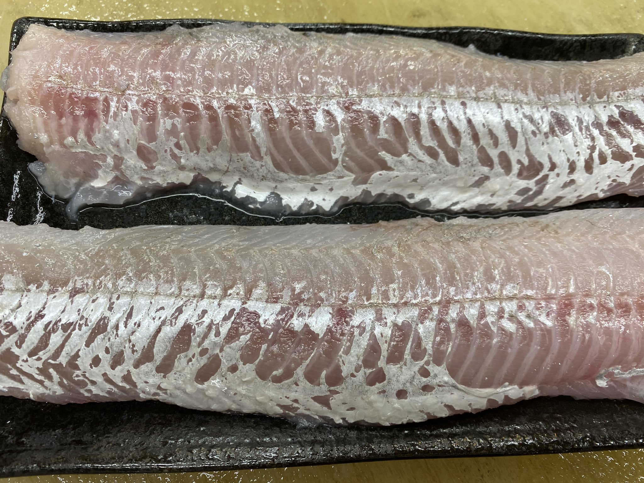 多田水産 すり鉢で摺るのと塩入れて練るのがしんどいですが やる価値は有ると思います 小骨多いとは言うけど 実際2列なんでそれほど苦にもならないですし ウルメイワシの方が骨多い 刺身も割と美味しいです 次回釣行からデカイエソは持ち帰ります