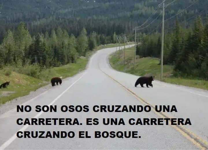 Leovigilante's tweet photo. ¡Exacto! https://t.co/h8ezBBZV0G