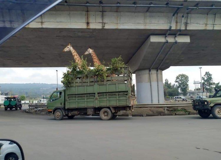 k_origa's tweet photo. @RoadAlertsKE Kama hawa Wali make to pass. How now with the dere? https://t.co/xxk7LEhn5T