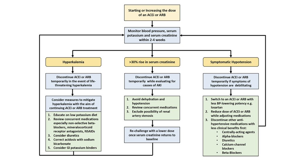 krishnadoctor1's tweet photo. Approach to ACEI / ARB use in Diabetic Kidney Disease
#Diabetes #NephPearls #Nephpractice
https://t.co/134I2znLFm
@apsneph guidelines on Diabetic CKD https://t.co/80oFeQ0jX1