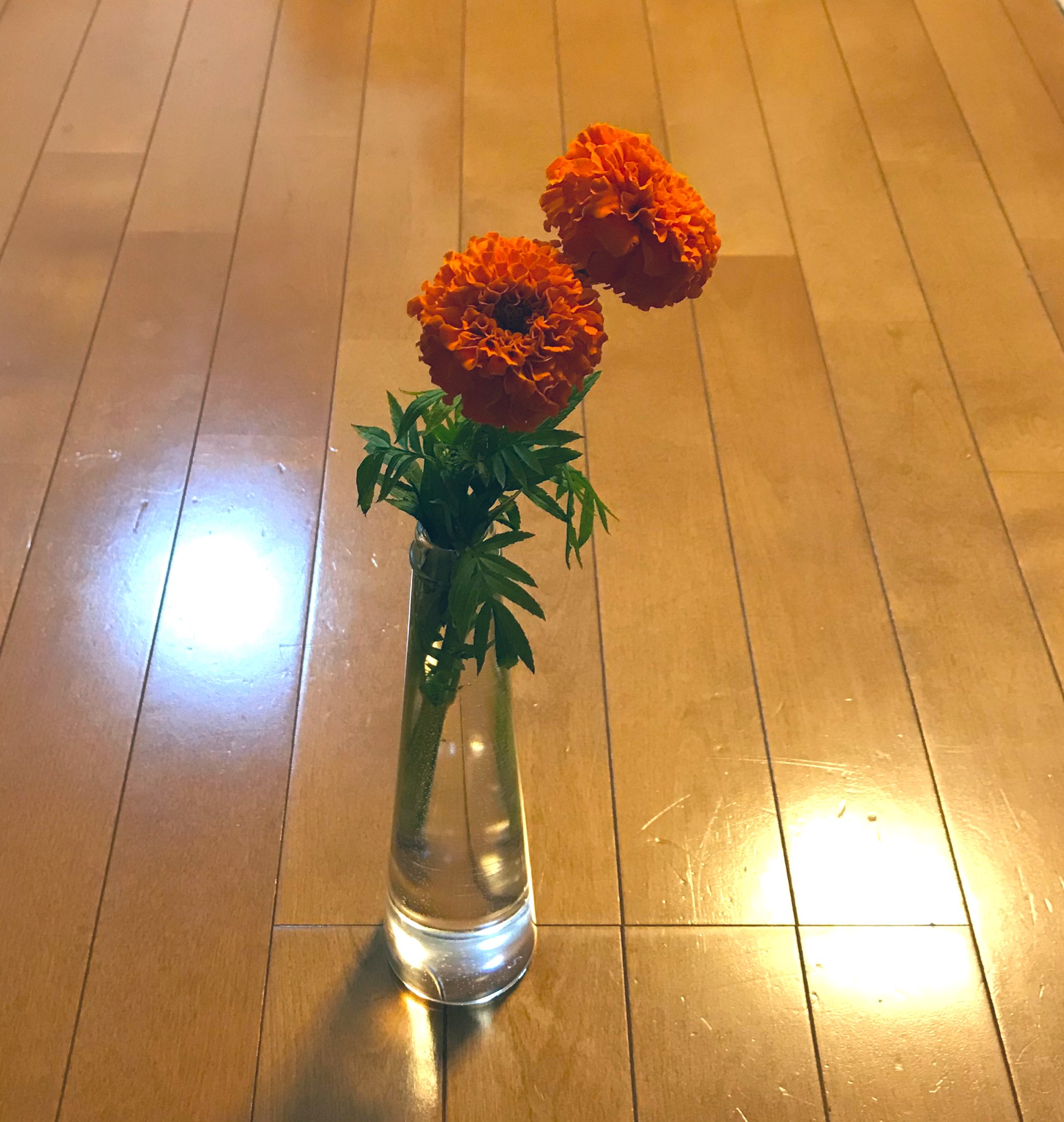 See Ely430 S Tweet Twitter