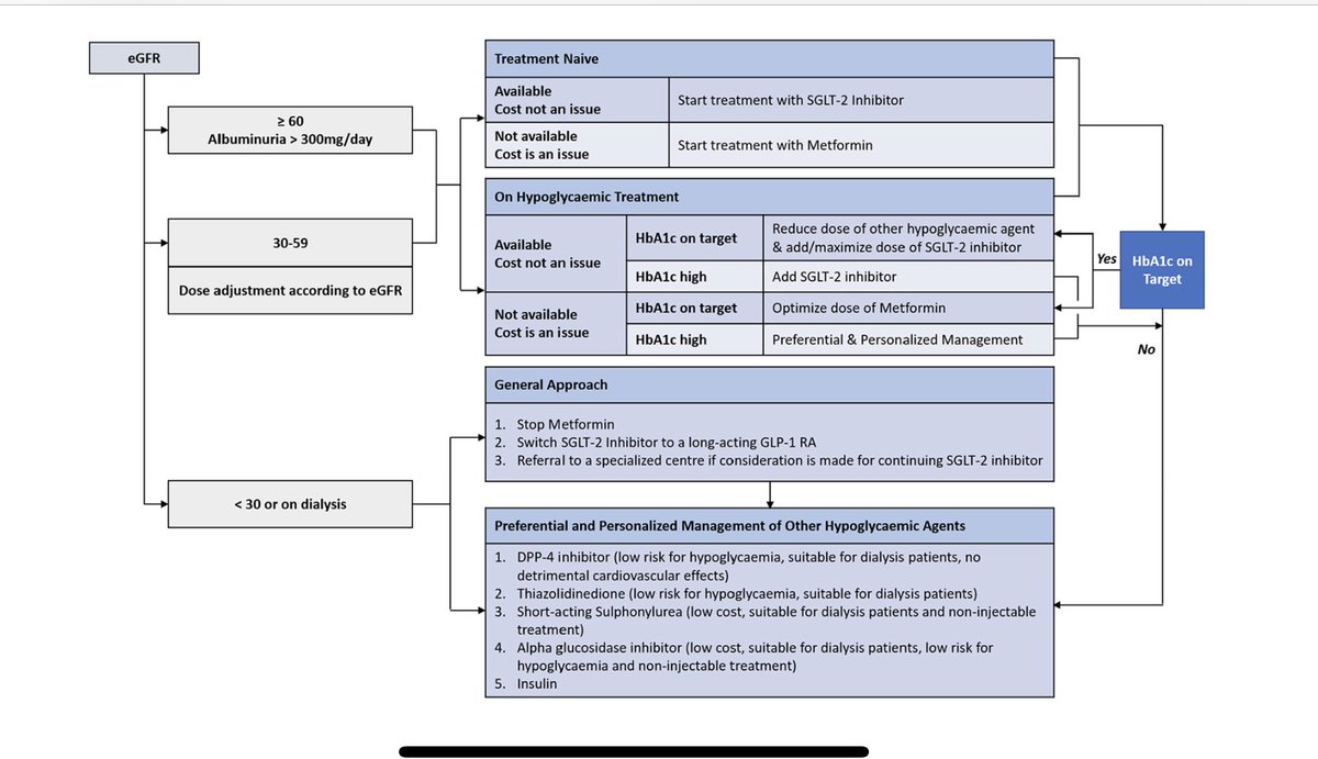 krishnadoctor1's tweet photo. Approach to prescribing anti-diabetic medication in Diabetic Kidney Disease
#Diabetes #NephPearls #Nephpractice
https://t.co/NeFDaRg3LU…
@apsneph guidelines on Diabetic CKD https://t.co/hspxe7p7h7