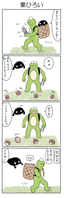 栗ひろい
#カルパス4コマ
#かえるのカルパス 