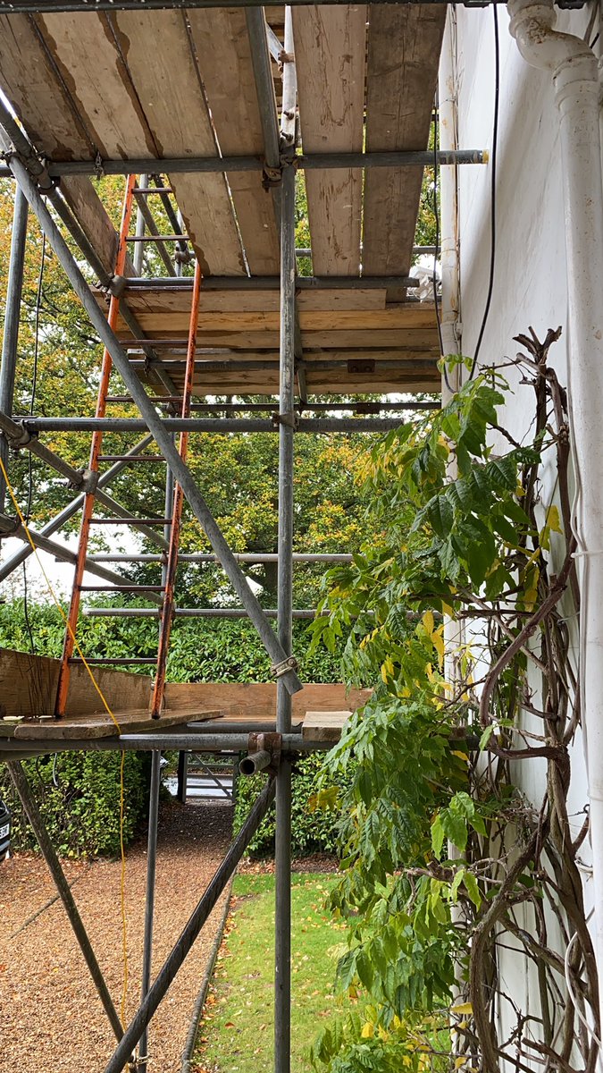 sospainter's tweet image. I’ve had to abandon working outdoors today. Not all bad news though. I’m home for a venison, bacon and mushroom pie from @MYPIE_LDN #pieweather