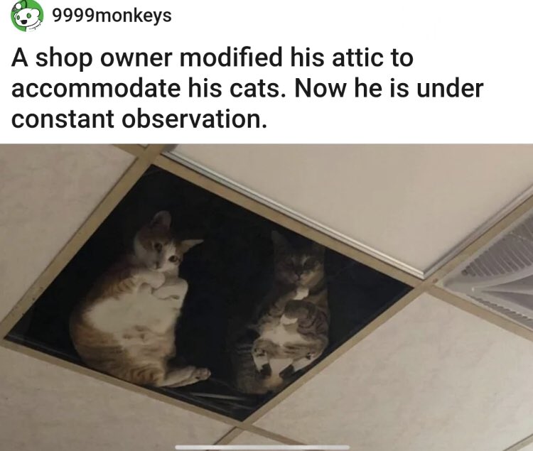 RespectfulMemes's tweet photo. https://t.co/geQze1H5CL
